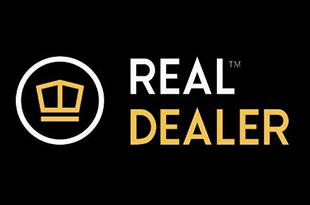 Real Dealer Studios Review Overview